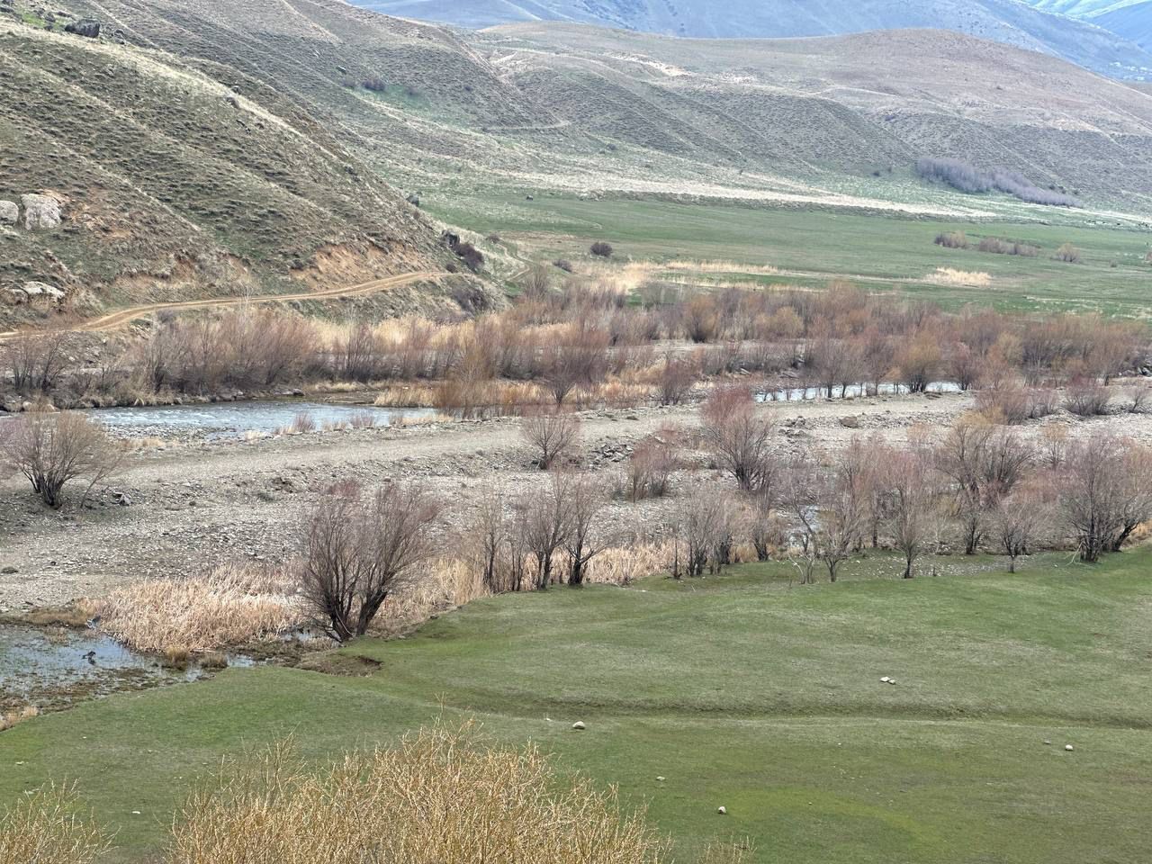Zilanderesi (4)