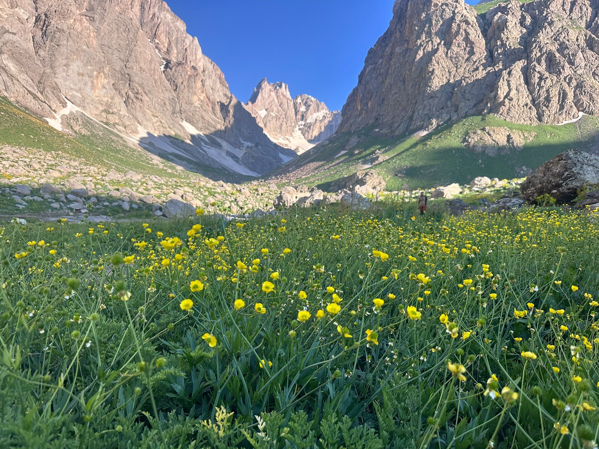 Cilo Doğa