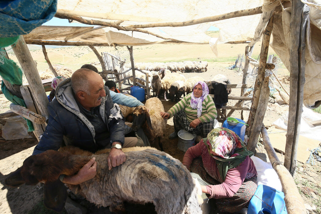 Dağ (1)