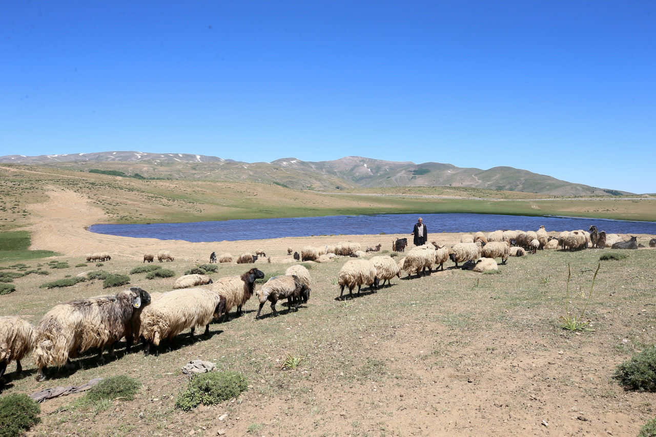 Dağ (15)