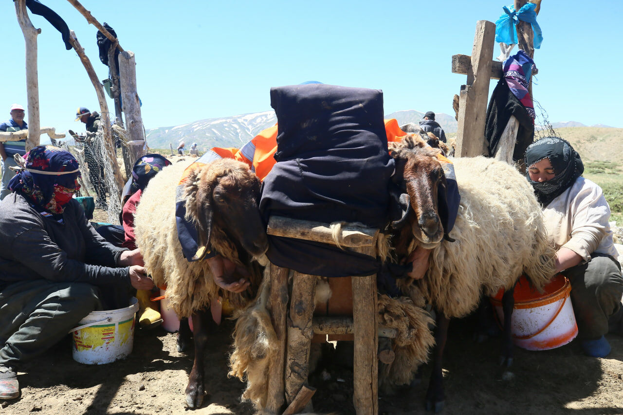 Dağ (8)