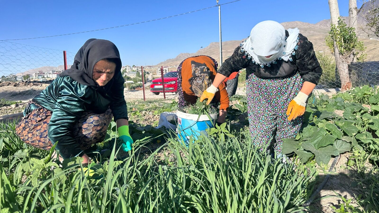 Edremit Belediyesi Tarafından Yürütülen Kadın Komün Bostanları Projesi Kapsamında (9)