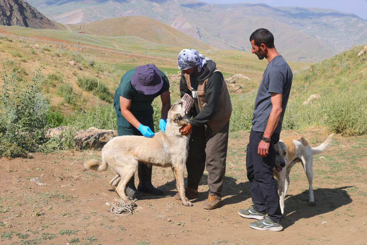 Hakkarı (1)-4