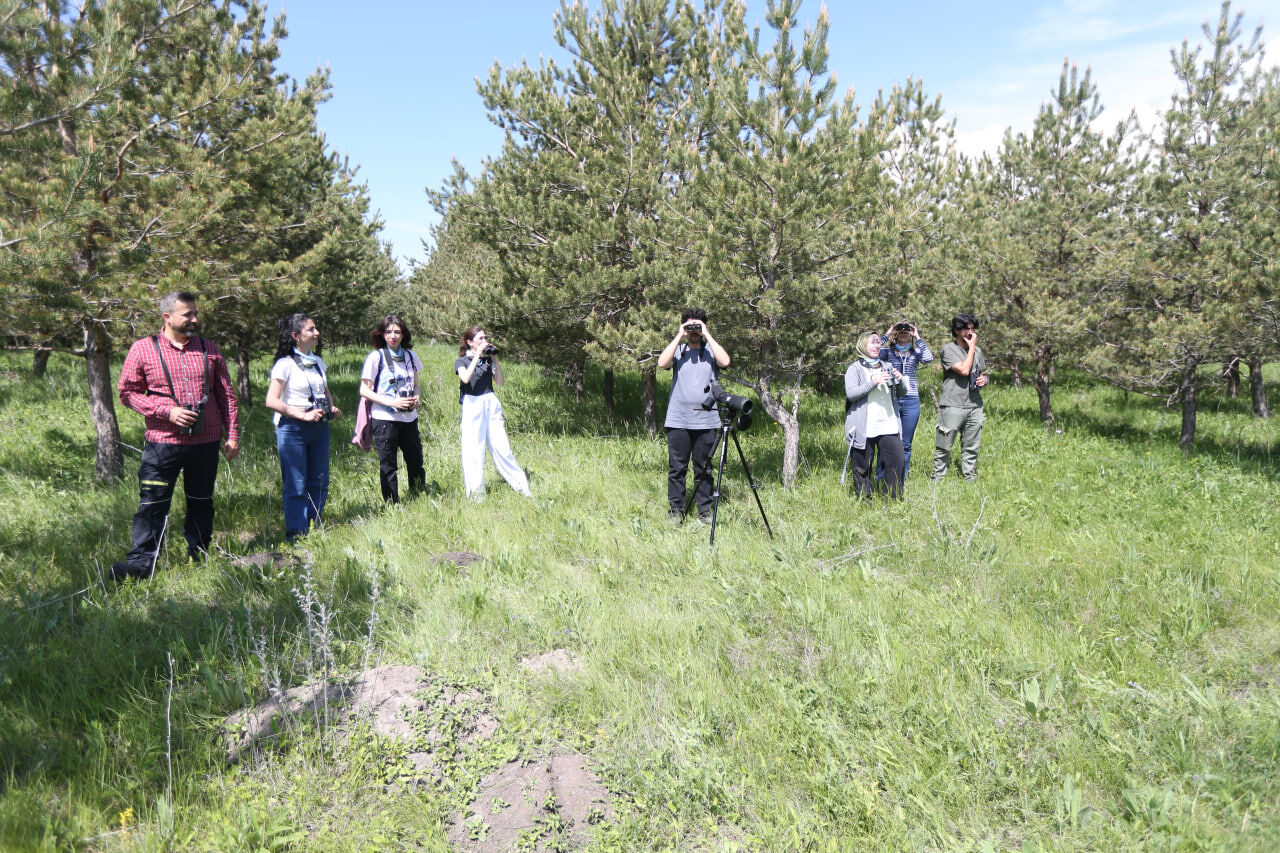 Kars (4)-8