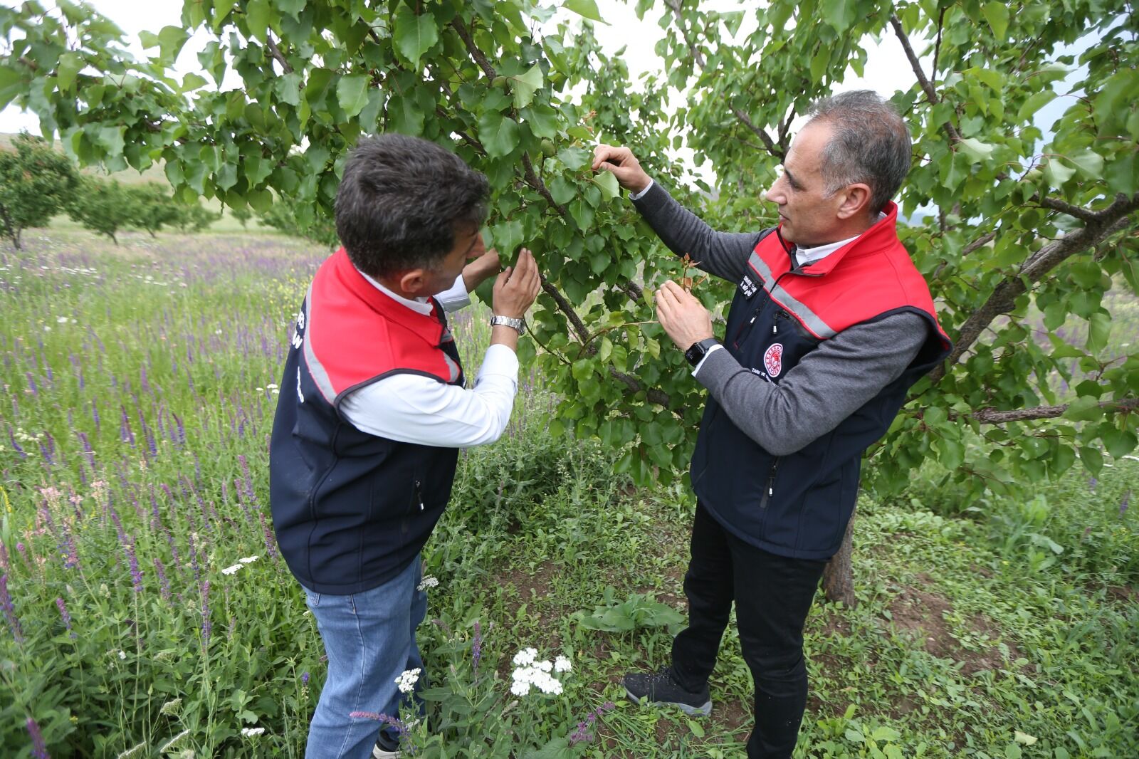 Kars'ın Kağızman Ilçesinde Kurulan Yapay Zeka Destekli Erken Uyarı Sistemi, (3)