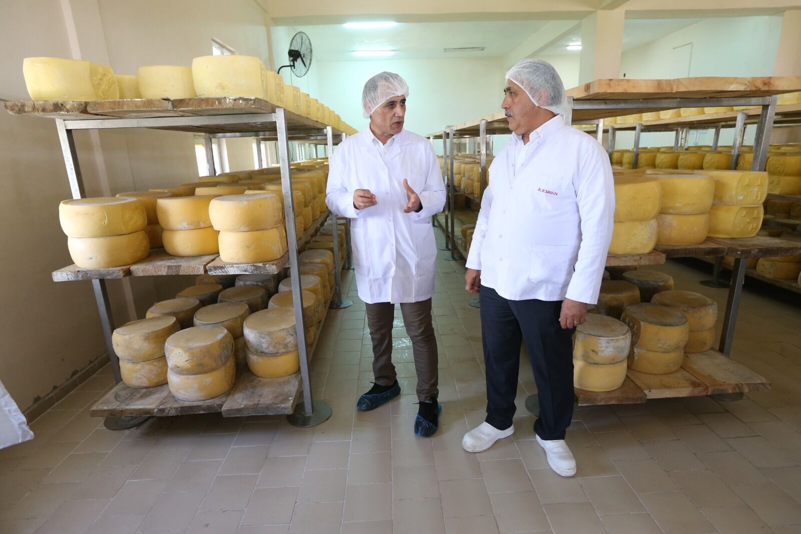 Kars’ın Kaşar Ve Gravyeri Avrupa Yolunda (4)