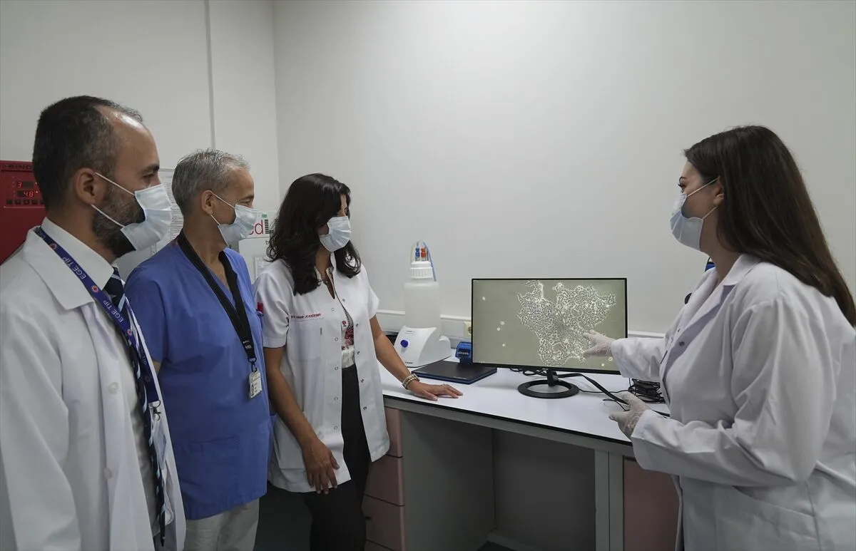 Lab Araştirma (2)