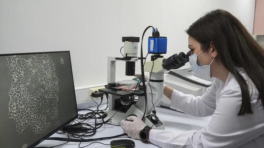 Lab Araştirma (3)