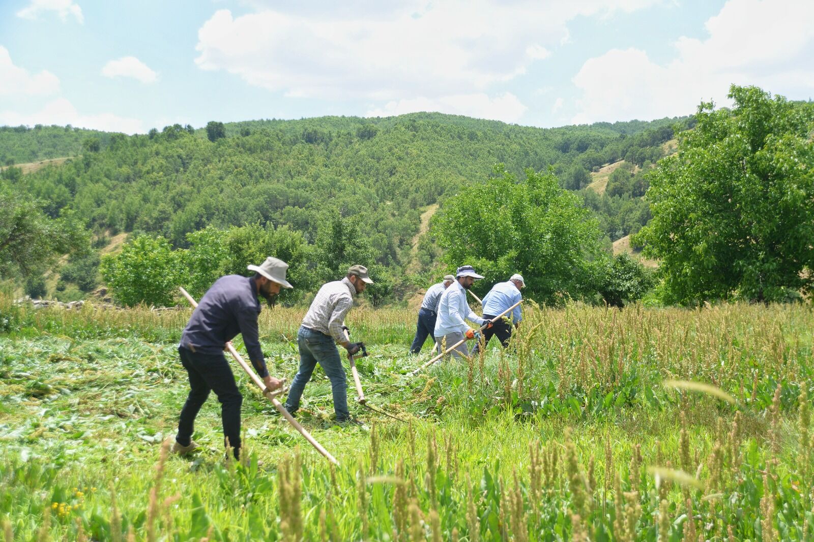 Tırpan Çiftçi Aa (2)