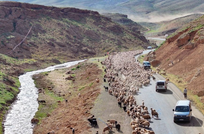 Van Yayla1