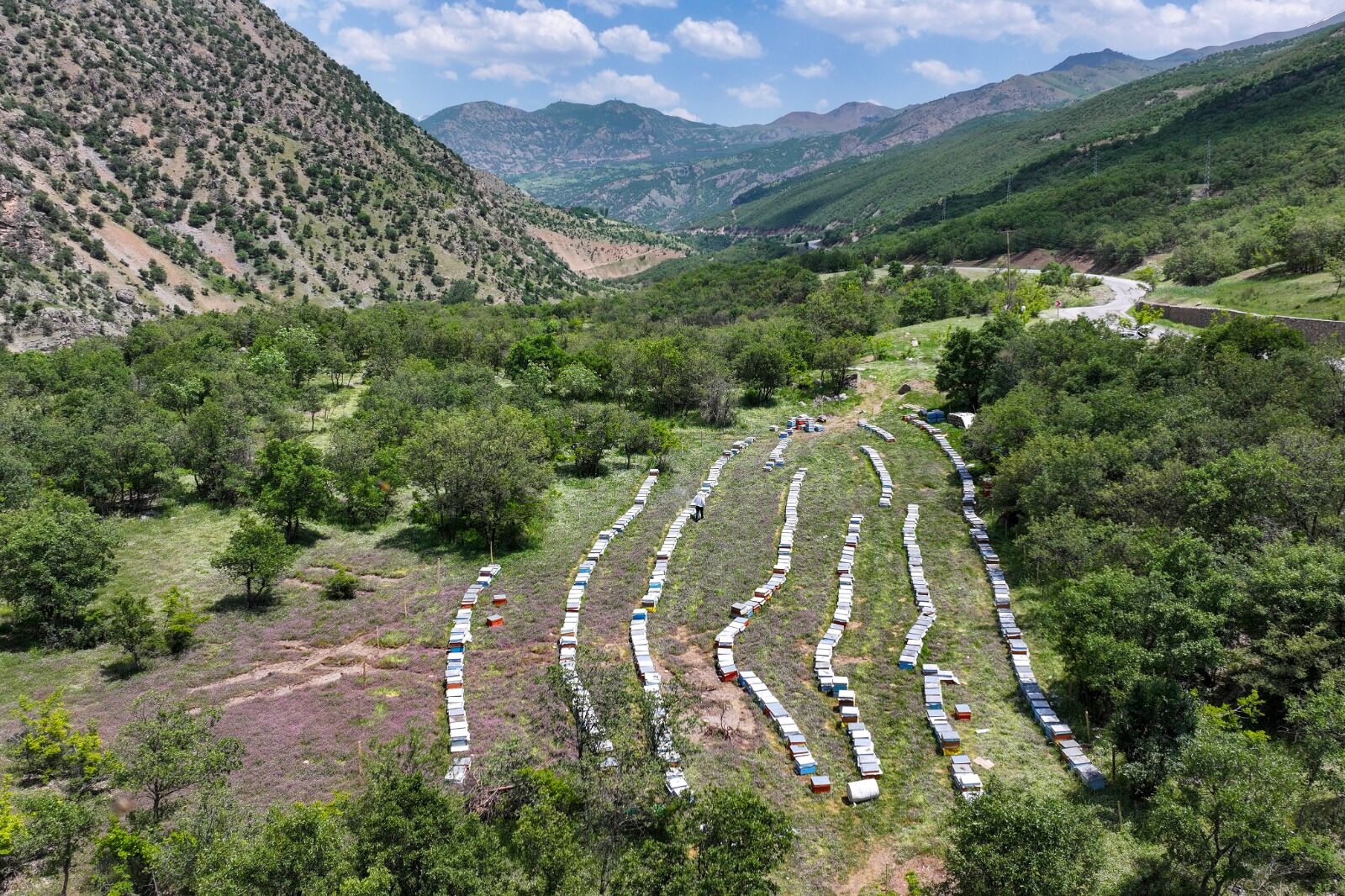 Van'ın Çatak Ilçesinde 20 Yıl Boyunca Birlik Başkanlığı Yapan Babasından Görevi Devralan 24 Yaşındaki Arıcı Tekin Semo (2)