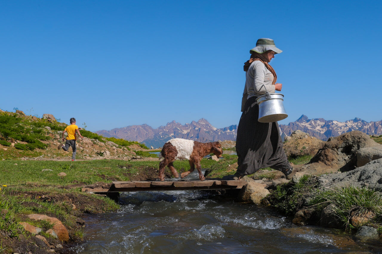 Yayla (1)
