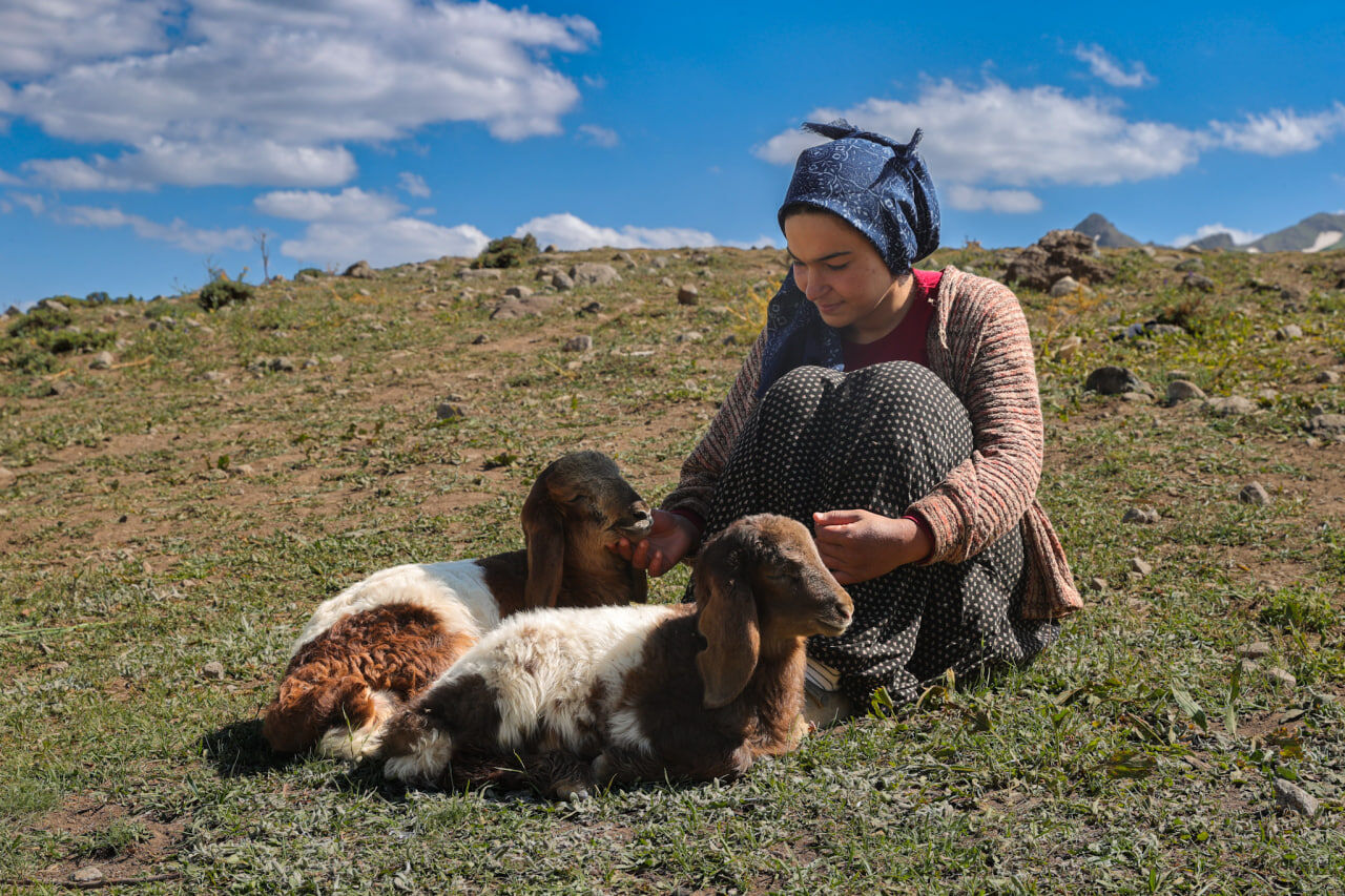 Yayla (2)