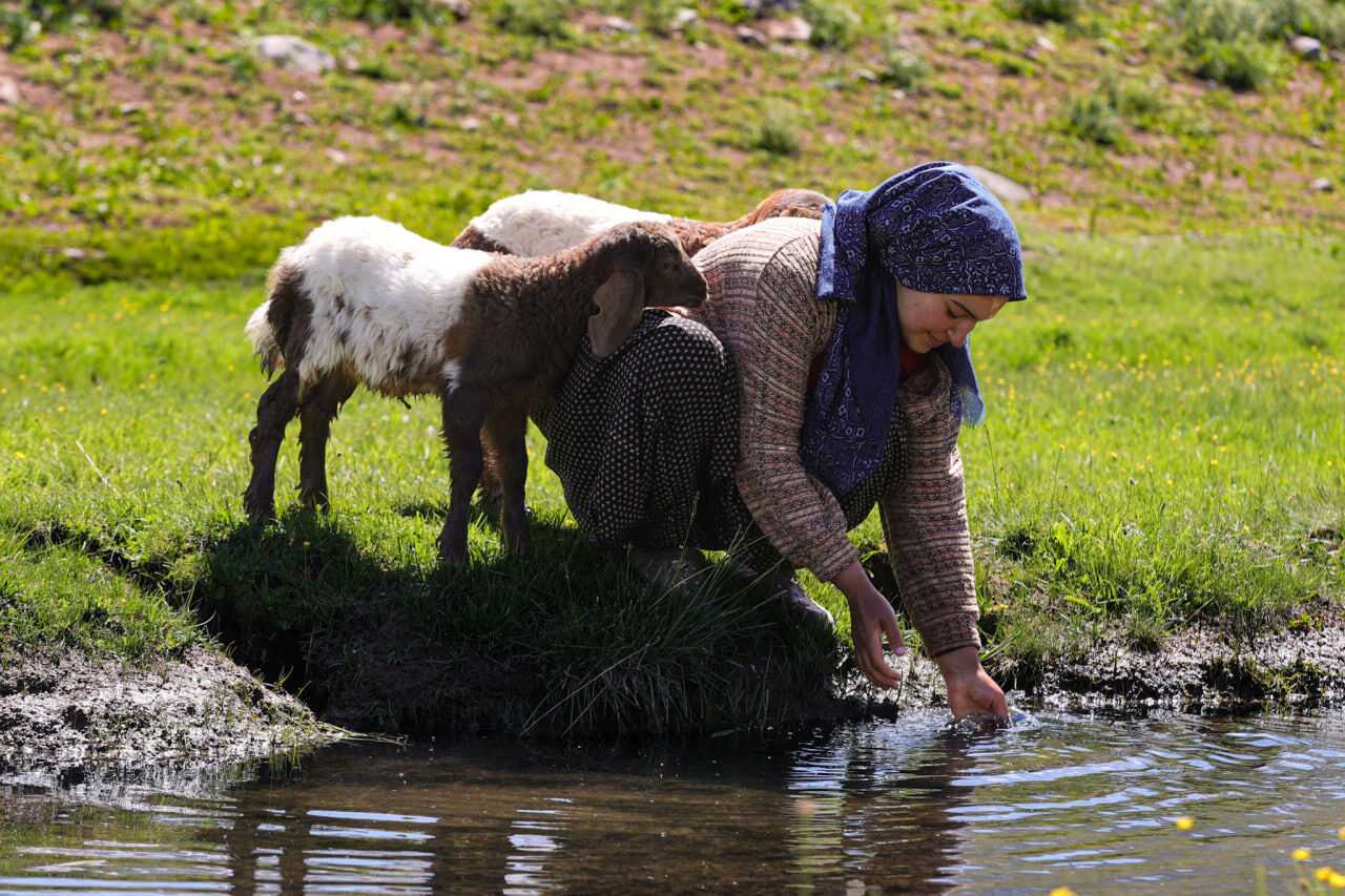 Yayla (3)