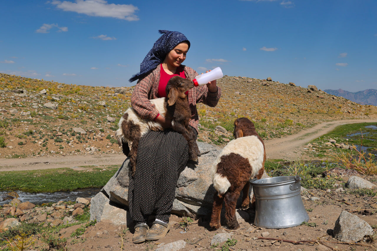 Yayla (5)