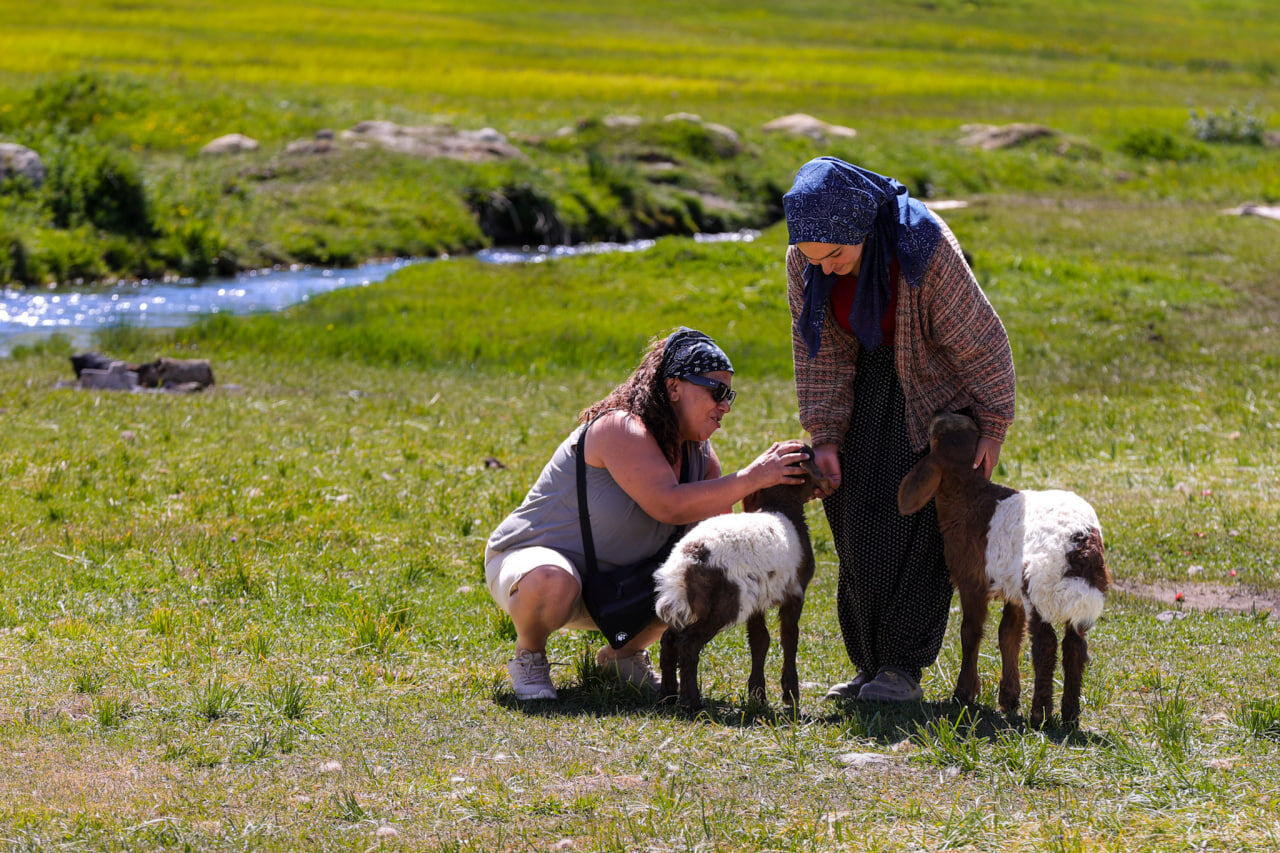 Yayla (7)