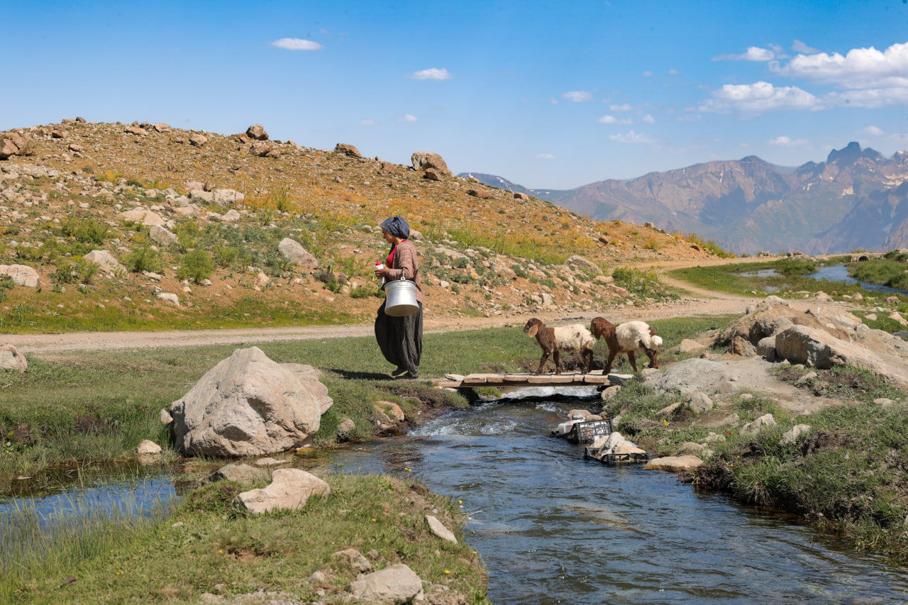 Yayla (8)