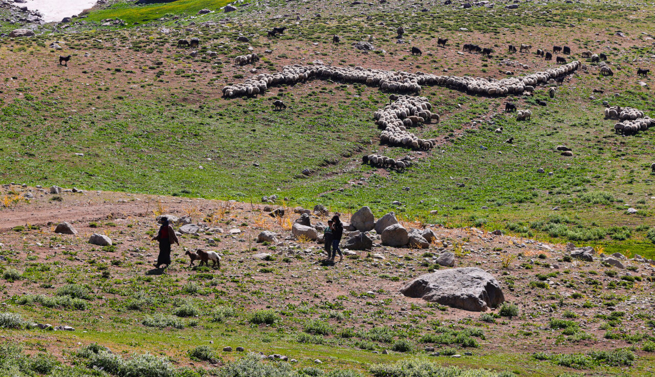 Yayla (9)