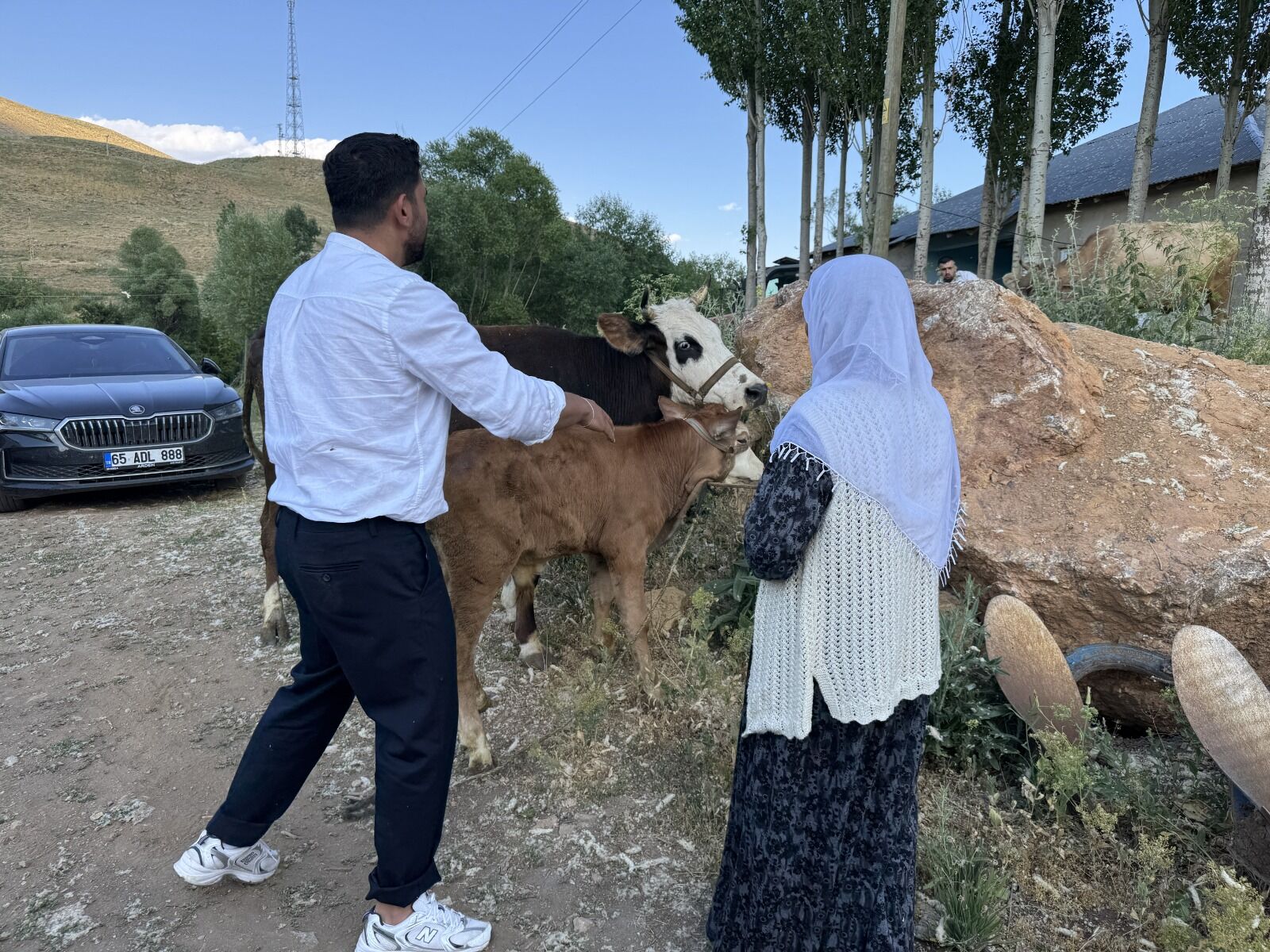 Yüksekova’da Merada Otlayan Tek Ineğini Kaybederek Büyük Üzüntü Yaşayan 7 Çocuk Annesi Ayni Özbek'e, Hayırseverlerin Desteğiyle 2 Inek Ve 2 Buzağı Hediye Edildi (3)